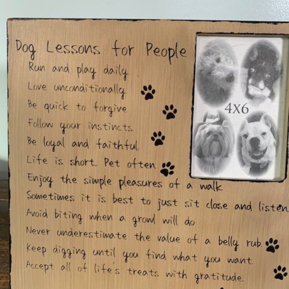Dog Lessons Photo Frame - Picture 2 of 6